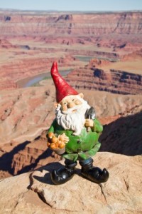 Corporate Training - Training Company Gnome