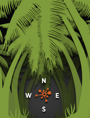 Into the Wild - DesignJot - Training and Development