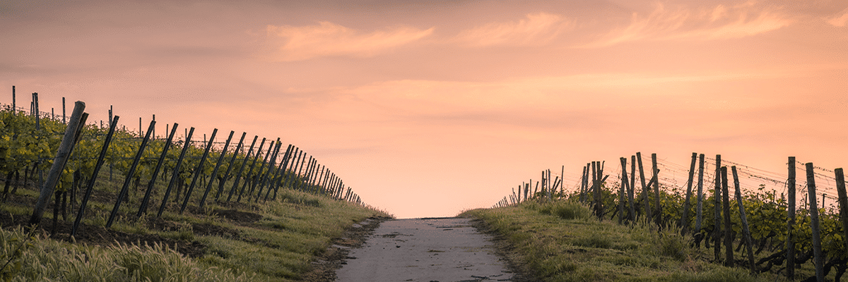 Leadership Training Reskilling -- AllenComm