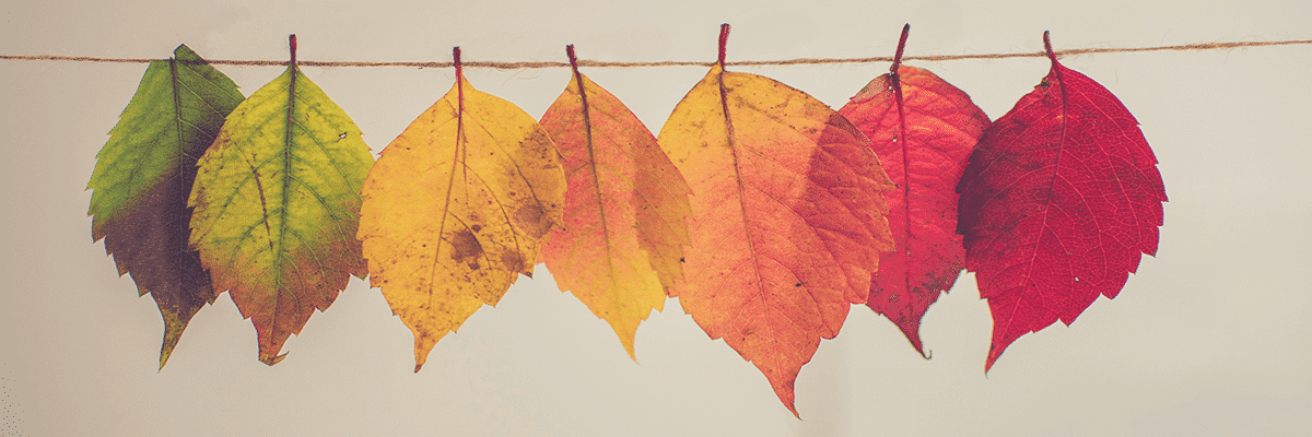 Employee onboarding -- AllenComm