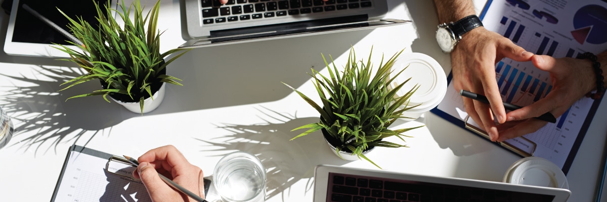 White Table with Plants and Laptops Upon it