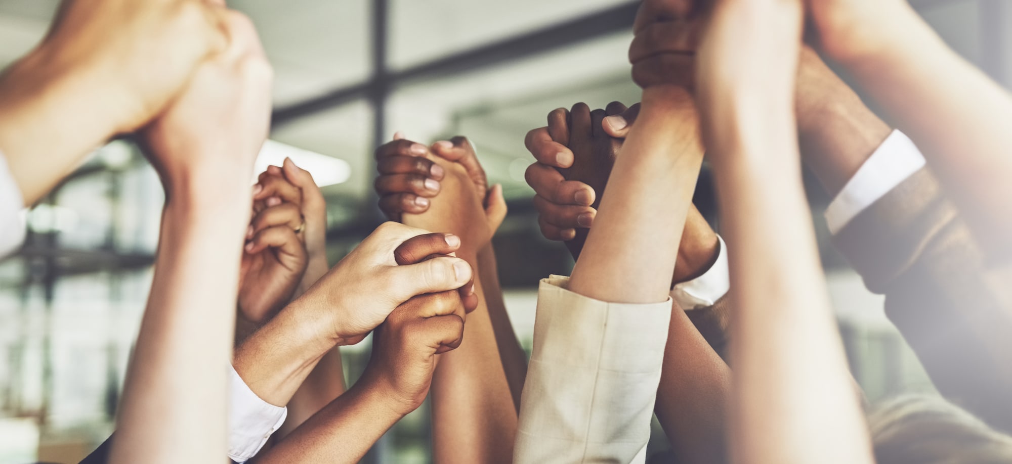 Cropped Shot of Business People Holding Hands in Air